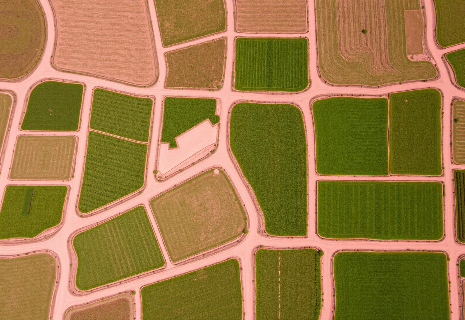 Vista aérea de parcelas agrícolas andinas